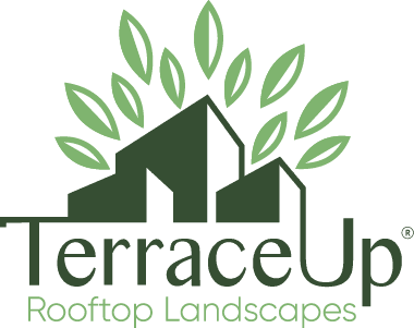 Terrace Up Logo Color (1)